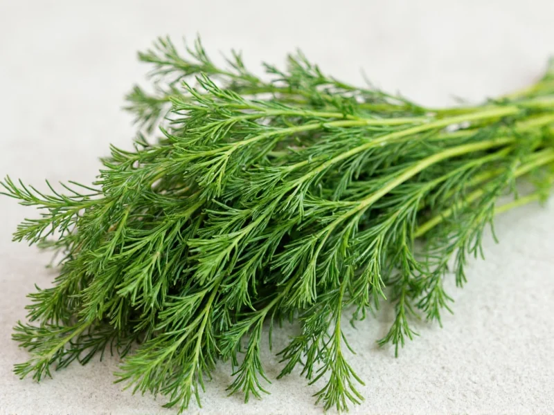 Fresh to Dried Dill Conversion: Exact Measurements Guide