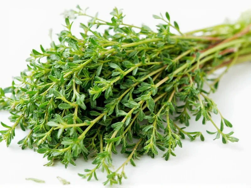 Best Thyme Substitutes: 8 Perfect Alternatives for Cooking