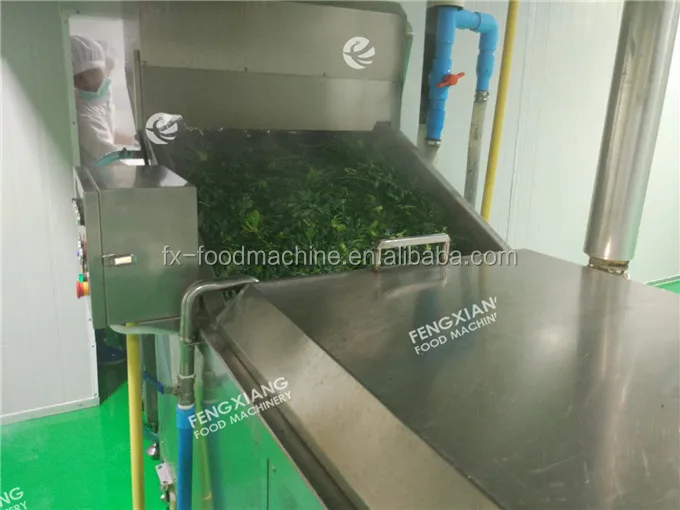 PT-2000 Industrial Automatic Vegetable Blanching Machine