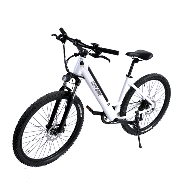 

China suppliers low price front suspension 7 gear transmissions 36v hidden battery 250w 350w 500w rear hub motor electric bike, White