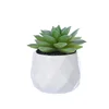 /product-detail/hot-selling-potted-mini-artificial-succulent-plants-62172864008.html