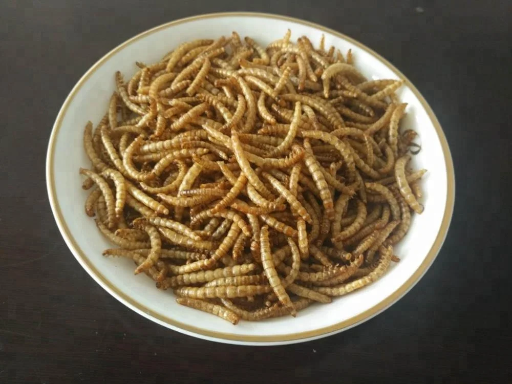 Edible Crispy Dried Mealworms,Human Grade Mealworms,Insect Food