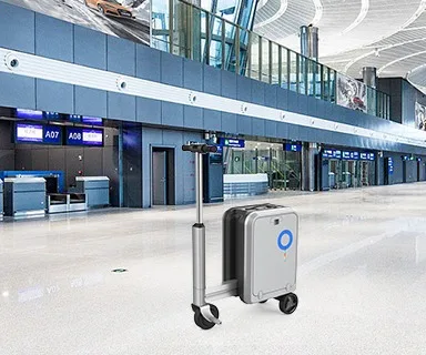 ELECTRIC SUITCASE