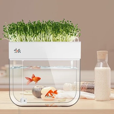 

Mini Indoor Aquarium Planter Aquaponics Pot Used with Flower/green Plant Plastic White Household Decoration Not Coated Farmhouse