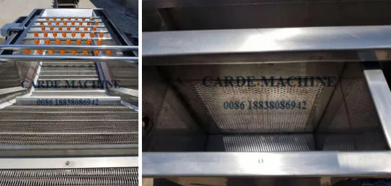 vegatable and fruit washing machine