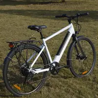 

PETRIGO Retail 2019 Most Popular E-bike electric assist bike Pas 36v10ah 250w DC motor city Electric Bicycle with hidden battery