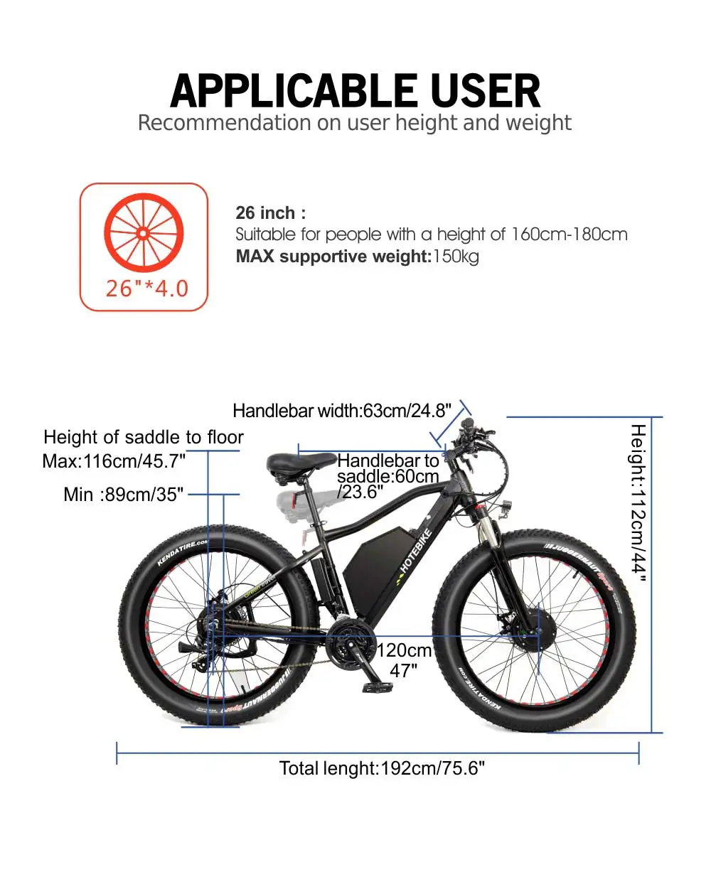 dual motor fat tire electric bike