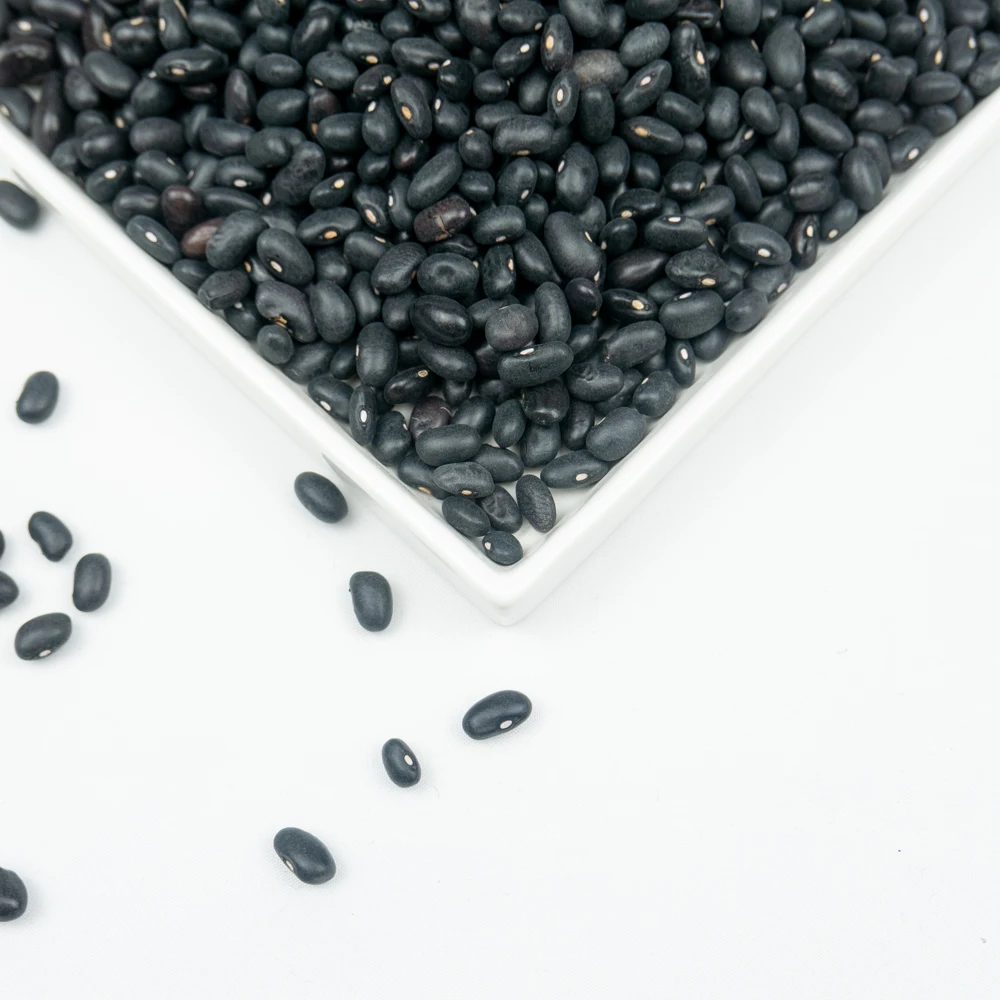 new crop premium grade black beans