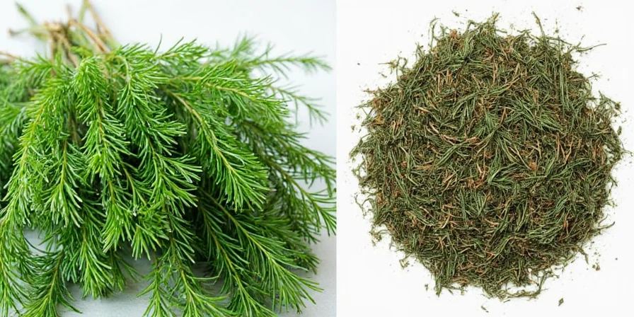 Salad garnished with fresh dill
