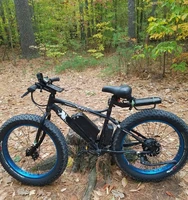 

New arrived fatbike26 electric bicycle city ebike with exceptional quality