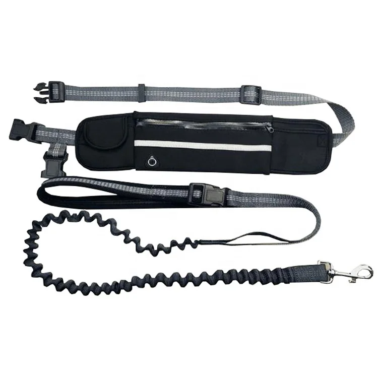 

Various Specifications Hands Freely Modern Novel Bike Tow Exerciser Running Jogging Seil Elasticity Dog Leash With Bag