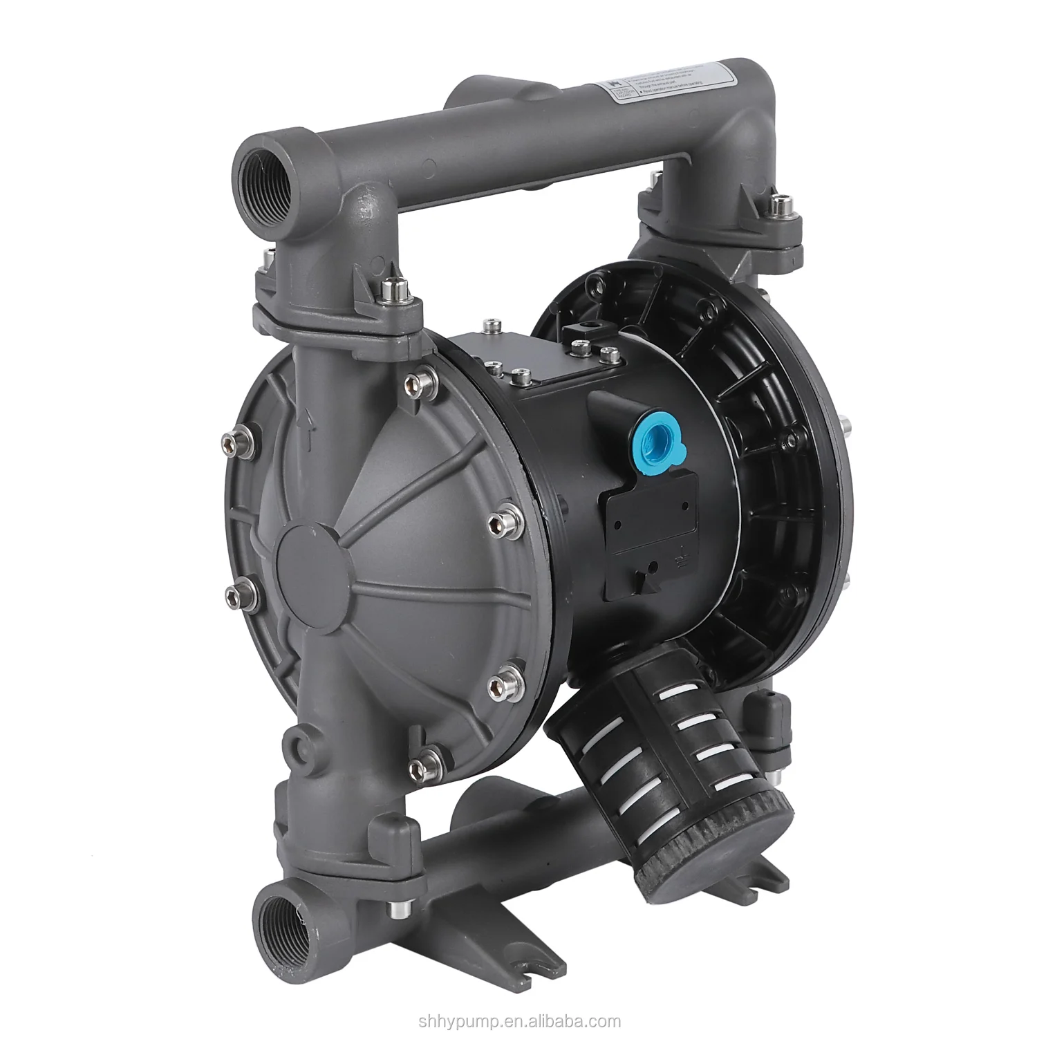 
HY1'Aluminum Diaphragm Pump 