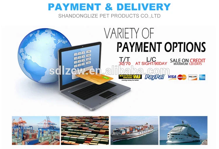 payment and delivery