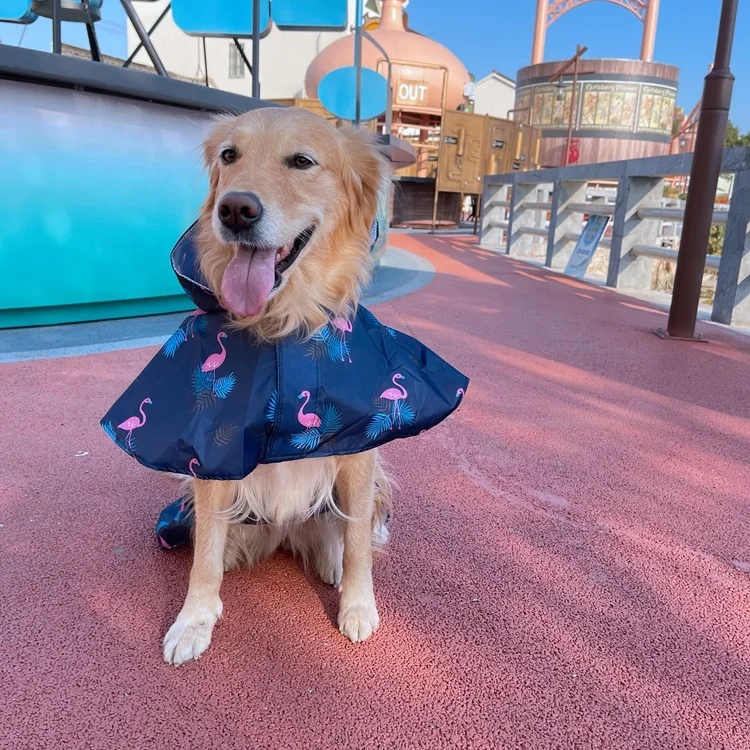 

2022 Newly Adorable Cool Fatty Doggy Waterproof Dog Raincoat Pet Products with Hood and Reflective Belt Chest Highly Adjustable