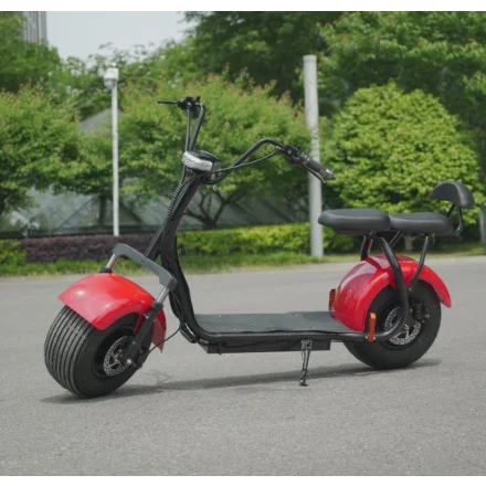 

Comfortable big seat citycoco CE 1500w 60V 20Ah Portable Lithium Battery electric bike electric city coco electric motorcycles