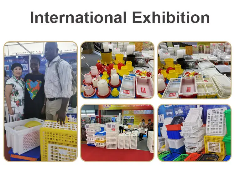 poultry exhibition.jpg