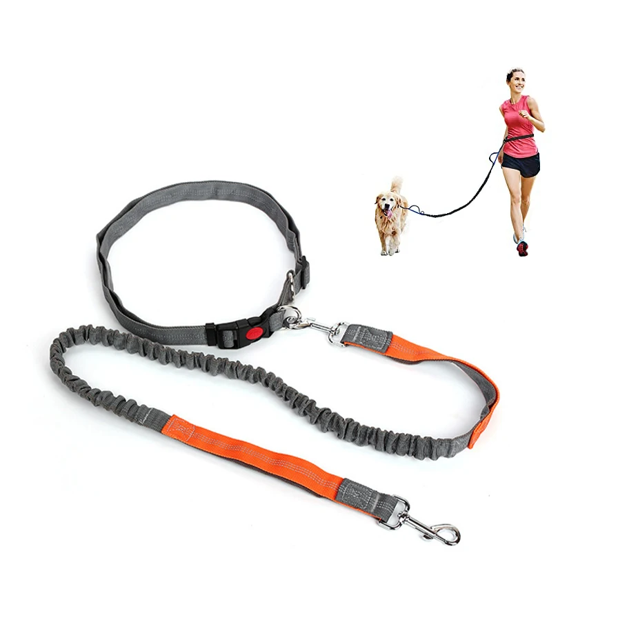 

Amazon Hot Sales Reflective Nylon Rope Dog Leash with Leader Belt Elastic Bungee Dog Leash for Running, Custom colors available