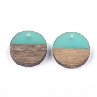 

PandaHall Resin Wood Pendant for Jewelry Making Flat Round PaleTurquoise 15~15.5x3~4mm Hole 1.8mm