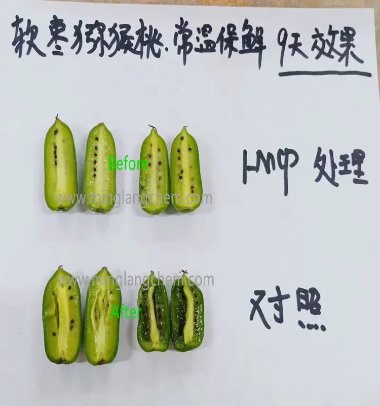 1-mcp freshing 3100 750