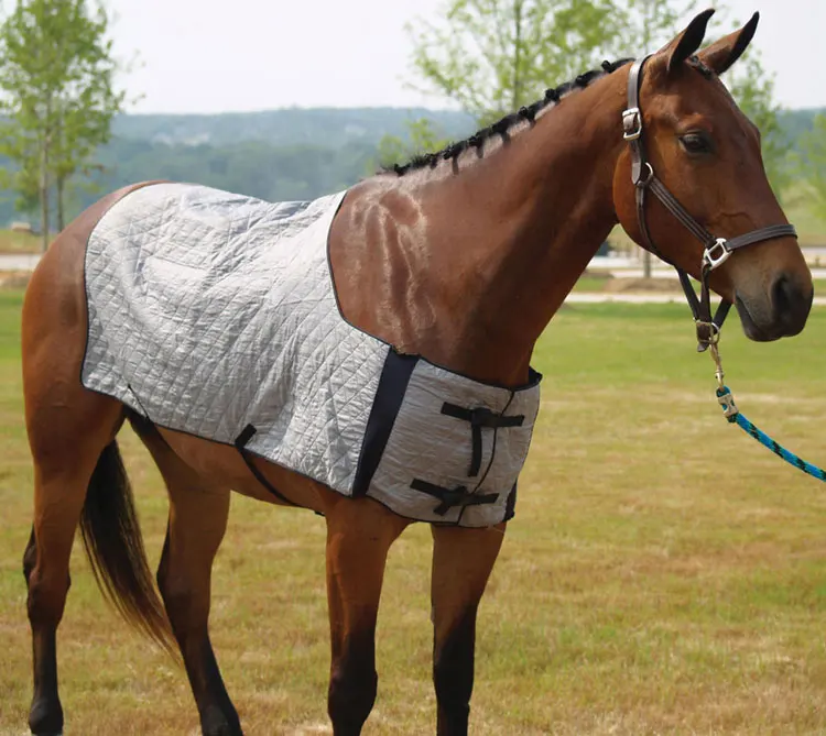 Techcool Summer Wateractivated Evaporative Horse Cooling Blanket Buy