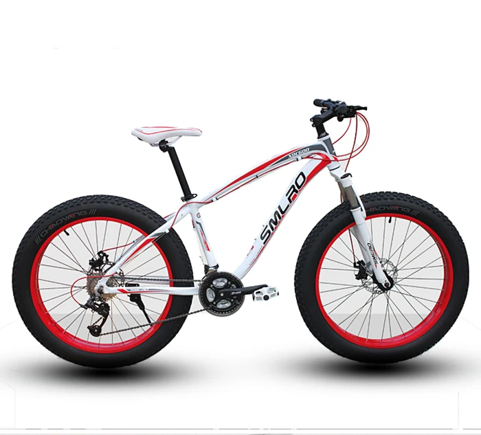 

China Low Price Fat Tire Mountain Folding Bike Aluminum Alloy Road Bike