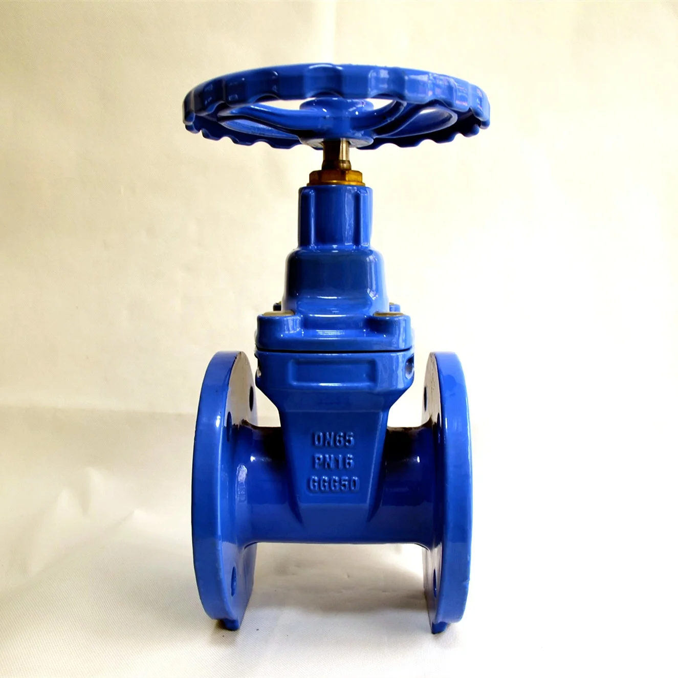 Rts Dn150 3 Inch 6 Inch Cast Iron Manual Non Rising Stem Gate Valve