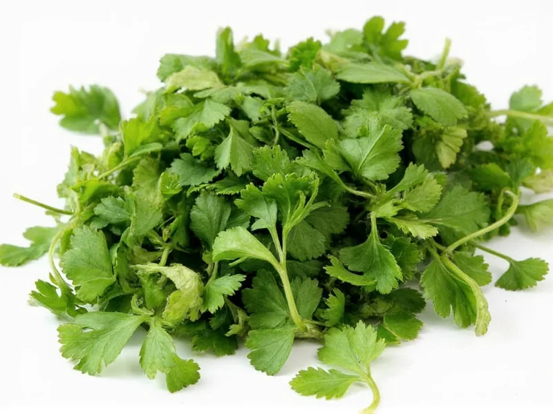 how much dried cilantro equals fresh cilantro