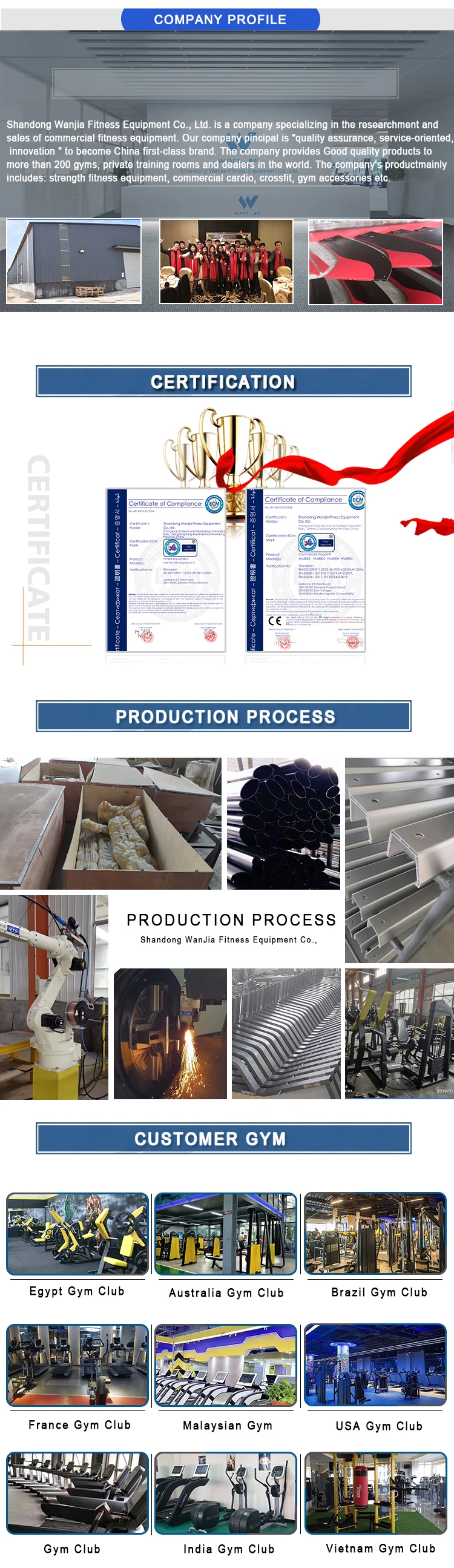 vertical ski machine