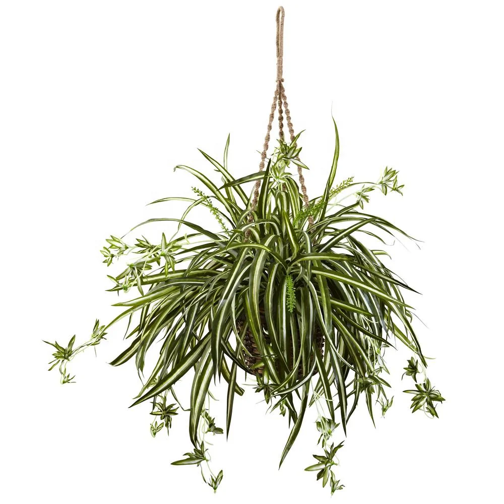 

green succulent snake hanging faux fake silk spider wall plants in pot outdoor decorative artificial plant trees for home decor, Customized