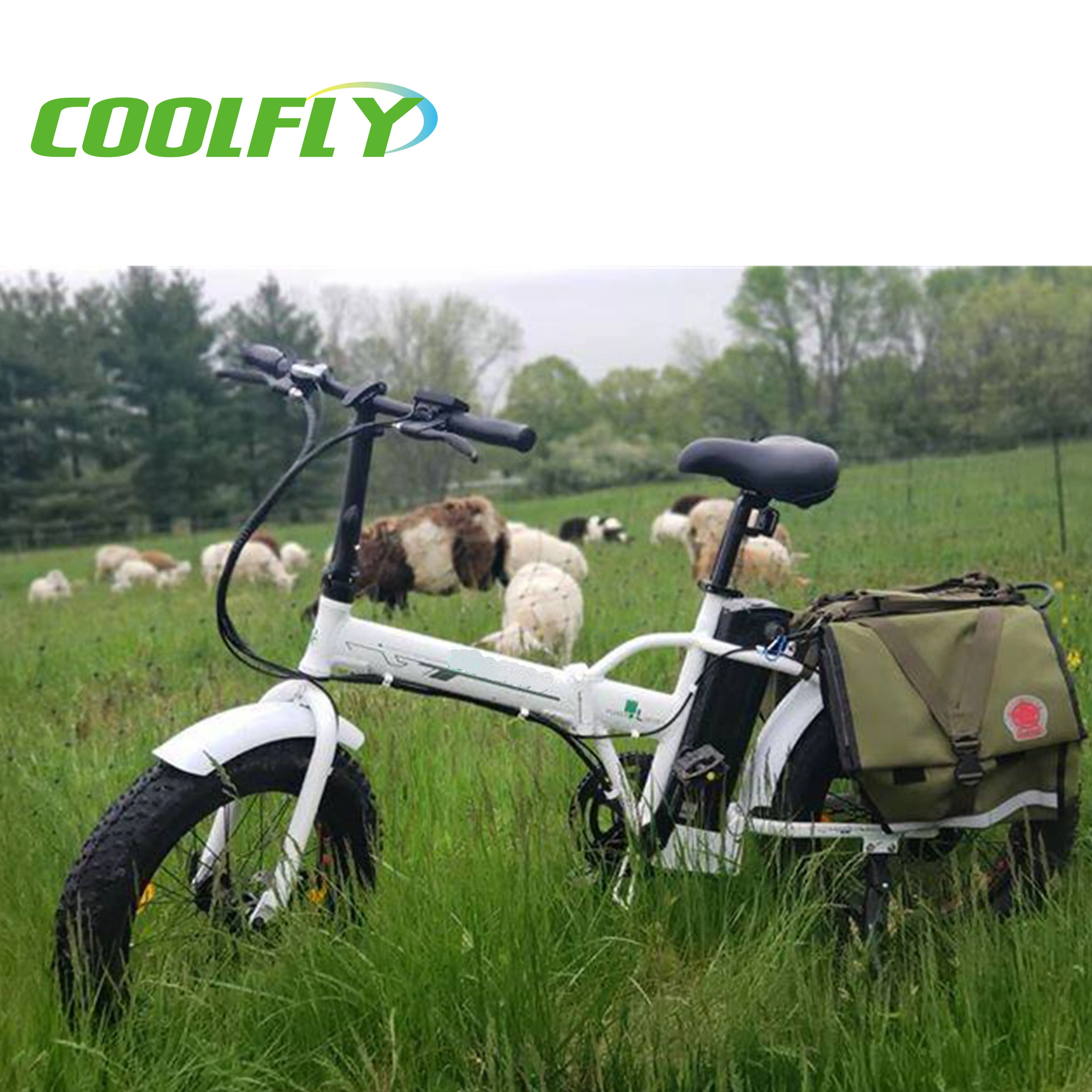 

cosbike electric bicycle mountain bike bicicletta/elettrica 20 36v 500w ebike fat tire folding e bike for selling