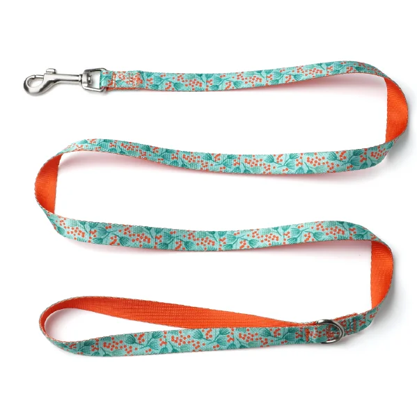 

Colorful patterns Nylon Dog Leash for Pet Hunting