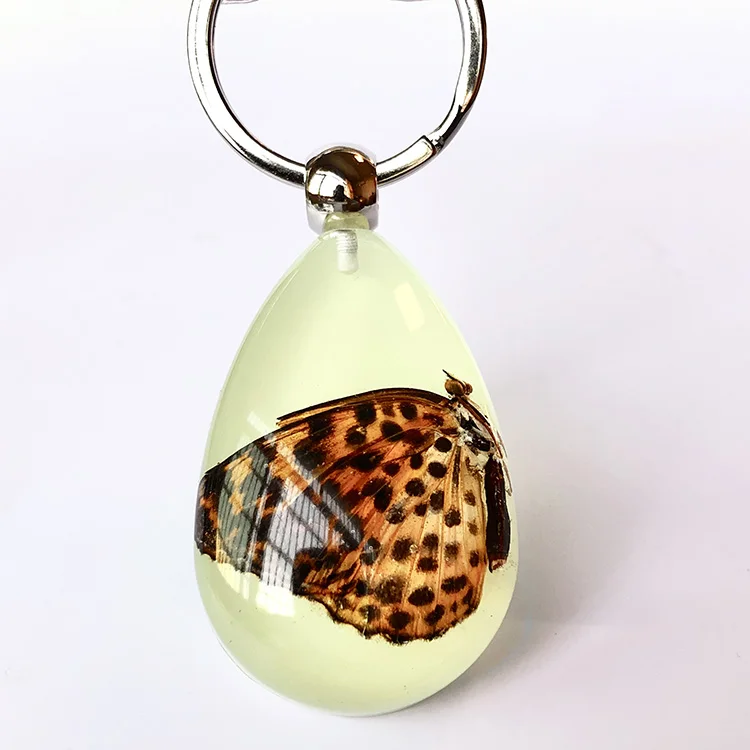

Big Size Real Butterfly keychain Acrylic Resin Key Ring Amber Glow Keychain