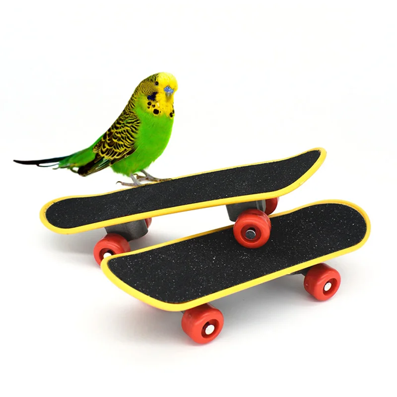 

Wholesale Handicraft Durable Cleverer Parrot Training Skateboard Bird Intelligence Toys