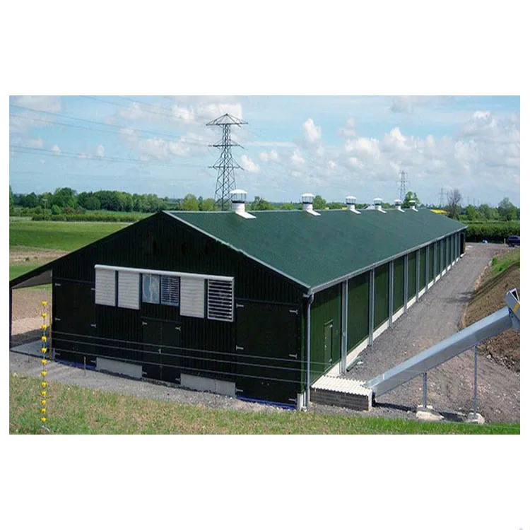 
Hot sale prefabricated shipping container living light steel low cost industrial shed designs 