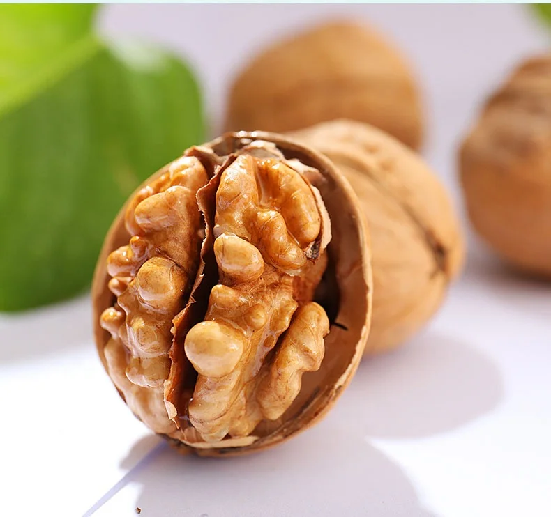 
Chinese high quality whole walnut kernels in xinjiang orginal place 