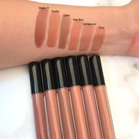 

Private Label OEM Makeup Velvet Matte Nude Lipstick