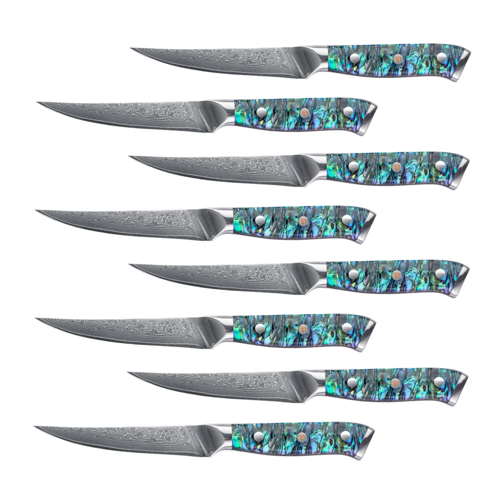 

4.5 inch vg10 damascus steel meat cutting knife steak knife gift set damascus steak knife set with resin handle