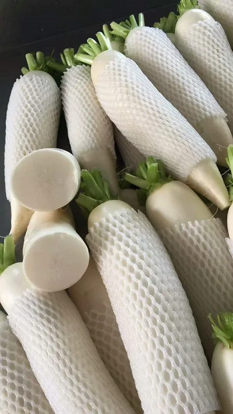 
chinese fresh white radish price 