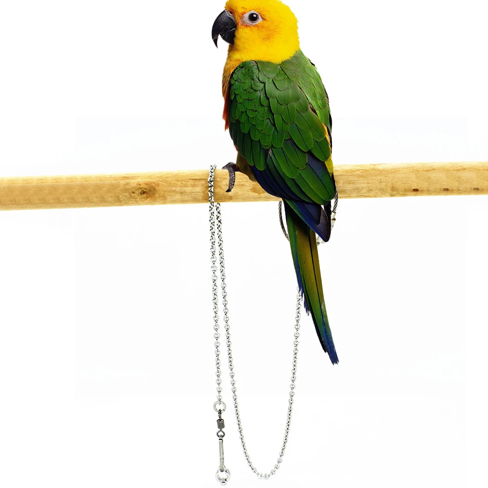 

New Arrival Parrot Stainless Steel Foot Ring Chain Opening Activity Ring For Lovebird Cockatiel Parakeet Bird Stand Anklet