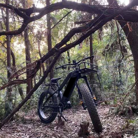 

Double Battery Fat Tire 8fun bafang ultra g510 48V 1000w mid drive electric bike, Black