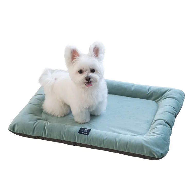 

eco friendly pet bed, Gray, red, green