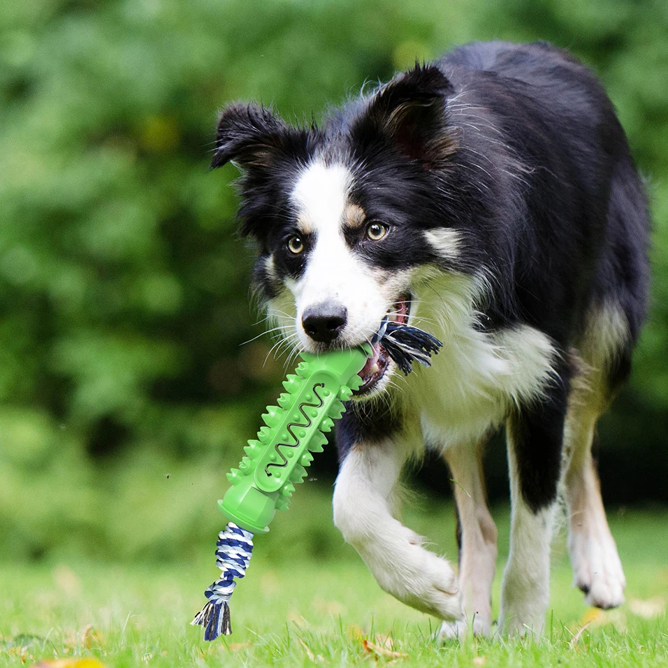 

Wholesale Manufacturer Hot Dog Toys Green Serrated molar rod with dog bite rope bite Cleaning Dog Teeth, Blue/green/yellow