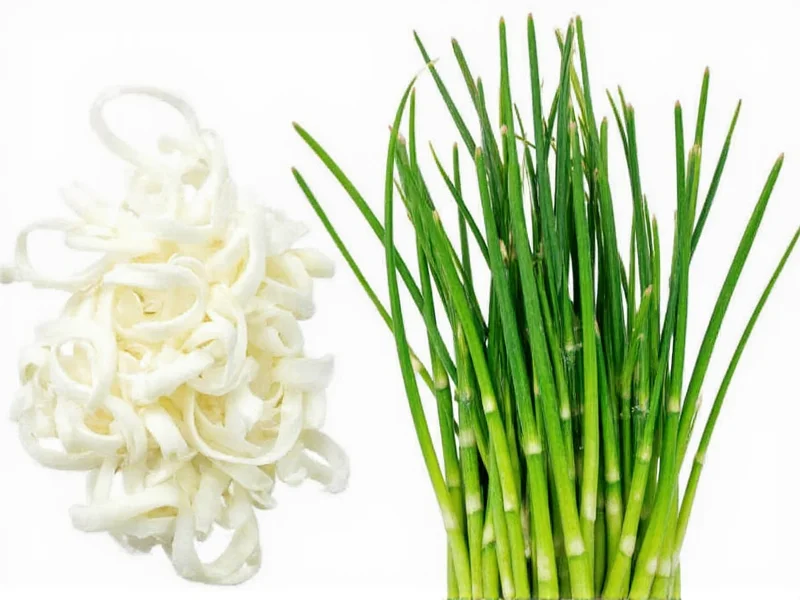 Scallions vs Chives: Clear Differences Explained