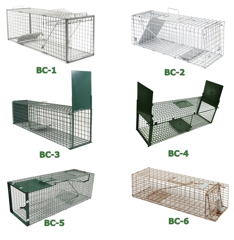 Animal Traps 1.png