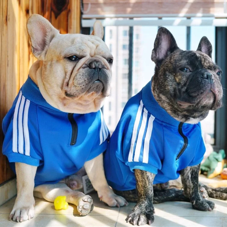 

Luxury popular brand printed logo dog sports clothes pet clothing