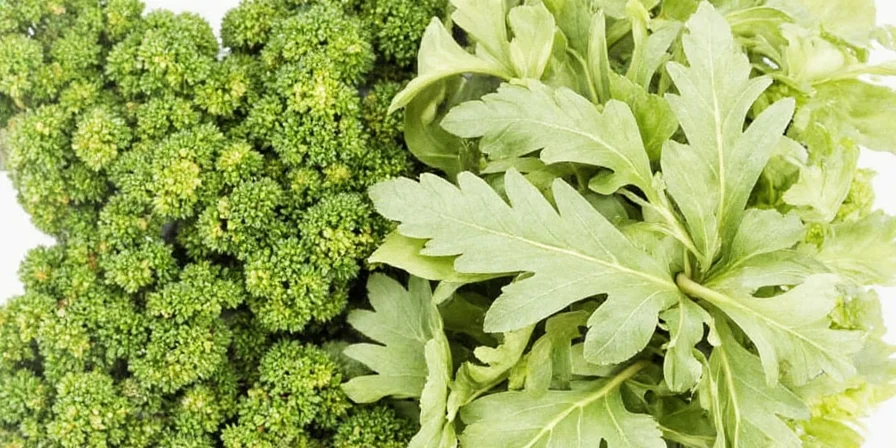 Chef smiling confidently after finding dill substitute