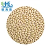 Export agriculture china blanched peanut for fried snack and related healthy snacks
