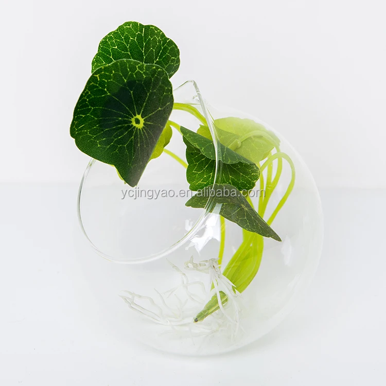 

Wholesale Glass Globe Hanging Terrarium, Clear