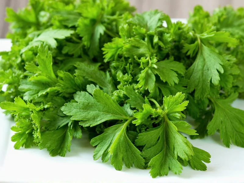 Parsley vs Coriander: Key Differences Explained