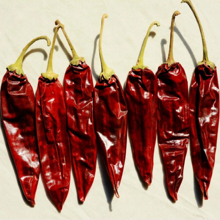 Export Chinese high quality natural dried red chili pepper with per ton price
